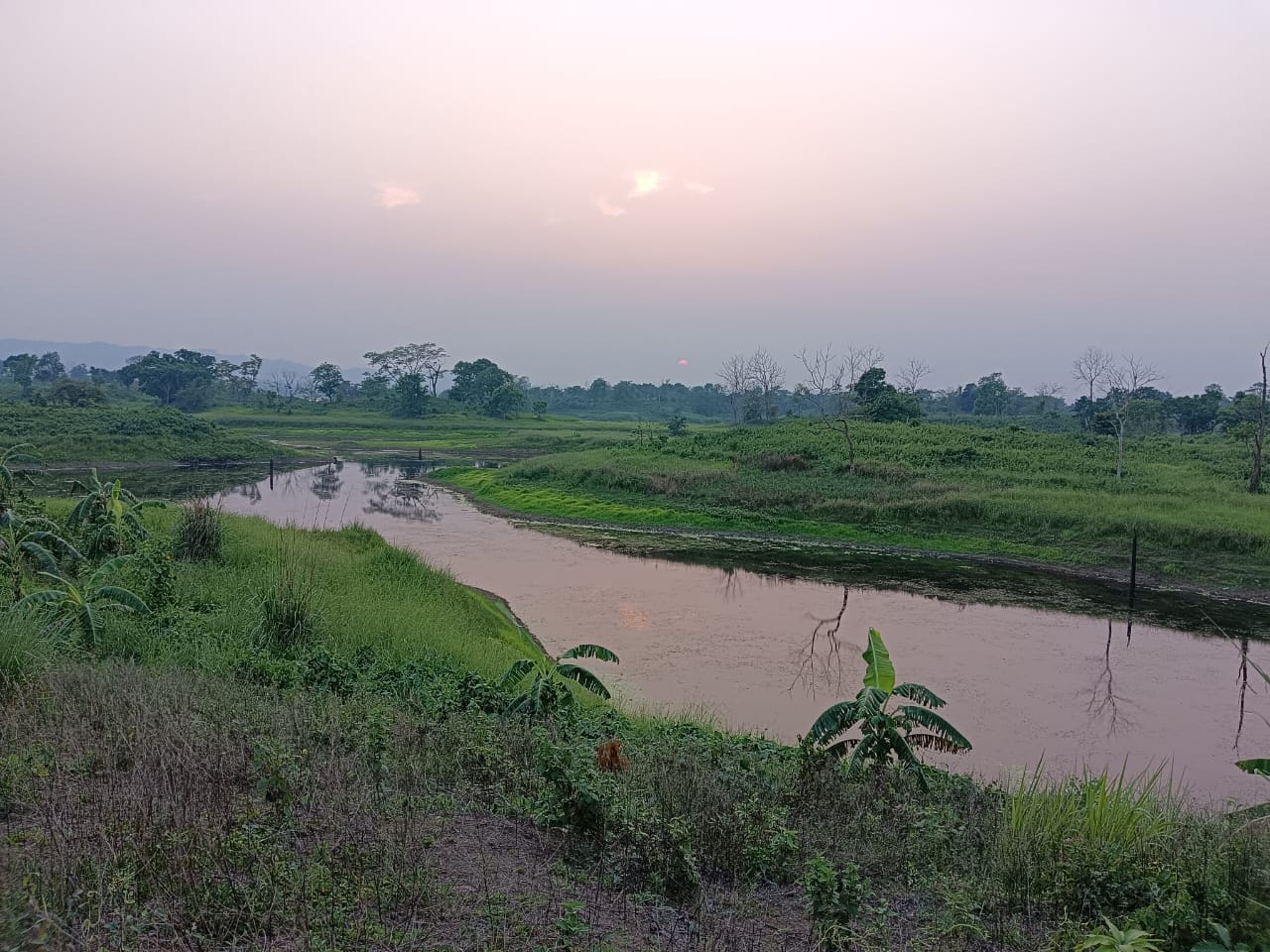 Nature 1