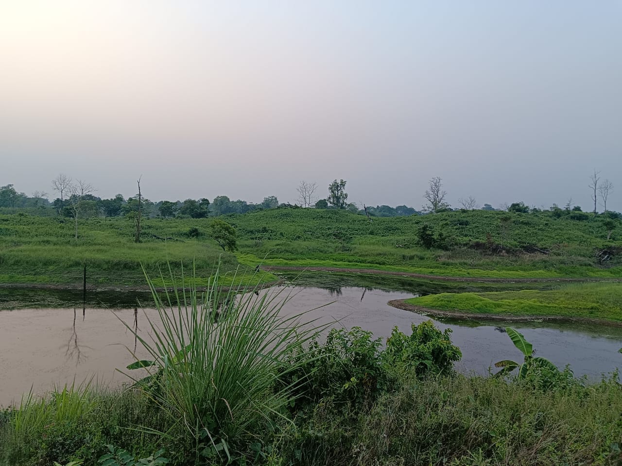 Nature 5