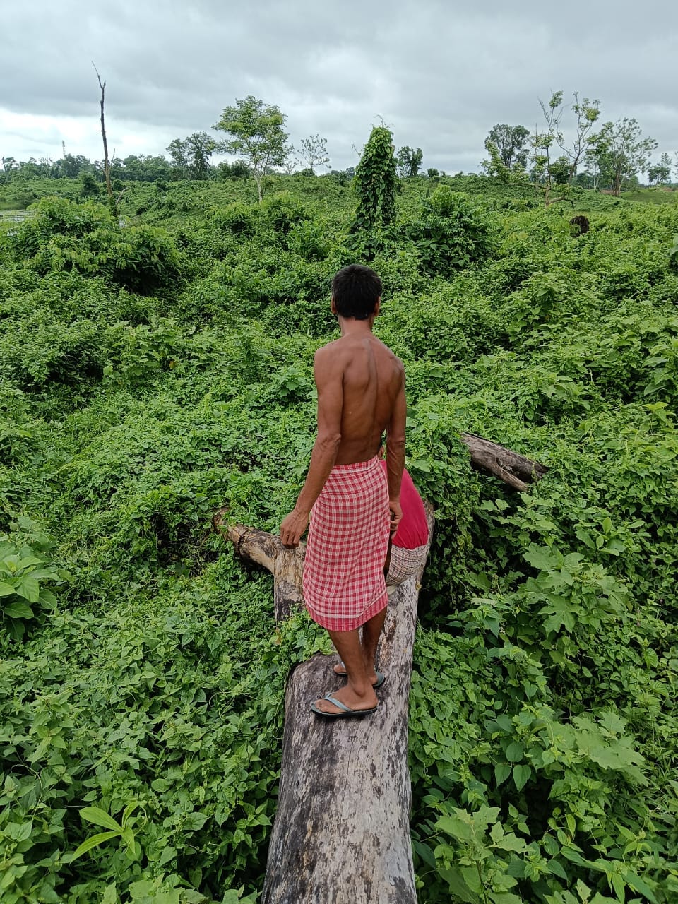 Nature 6